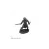 Hyborian Hero - Figurine Héros & Héroïnes Reaper Miniatures