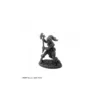Hyborian Heroine - Figurine Héros & Héroïnes Reaper Miniatures