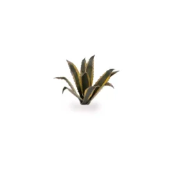 Laser Plants - Gamers Grass