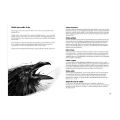 La Voie du Corbeau JDR - Le Jeu de Rôle Solo