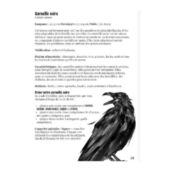 La Voie du Corbeau JDR - Le Jeu de Rôle Solo