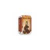 Le Renard des Bois - Édition 2025