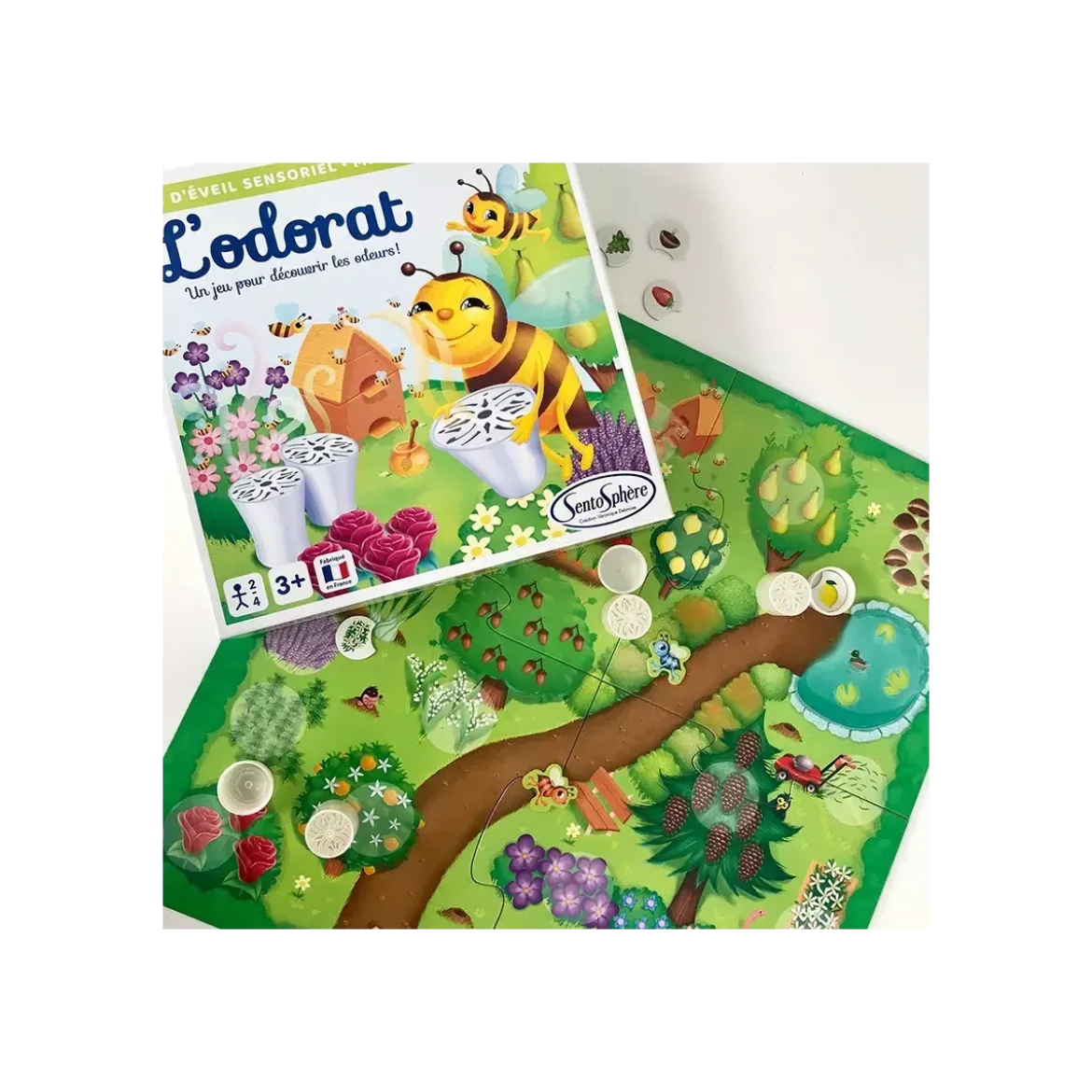 L'Odorat