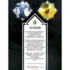 Mage Noir : Le Cerf et l’Archère - Extension Végétal