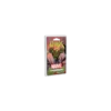 Marvel Champions : Drax - Extension