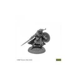Mellonir Windrunner, Elf Warrior - Figurine Héros & Héroïnes Reaper Miniatures