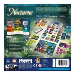 Nocturne