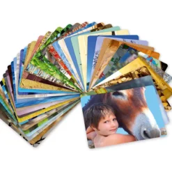 Photo-expression Emotions