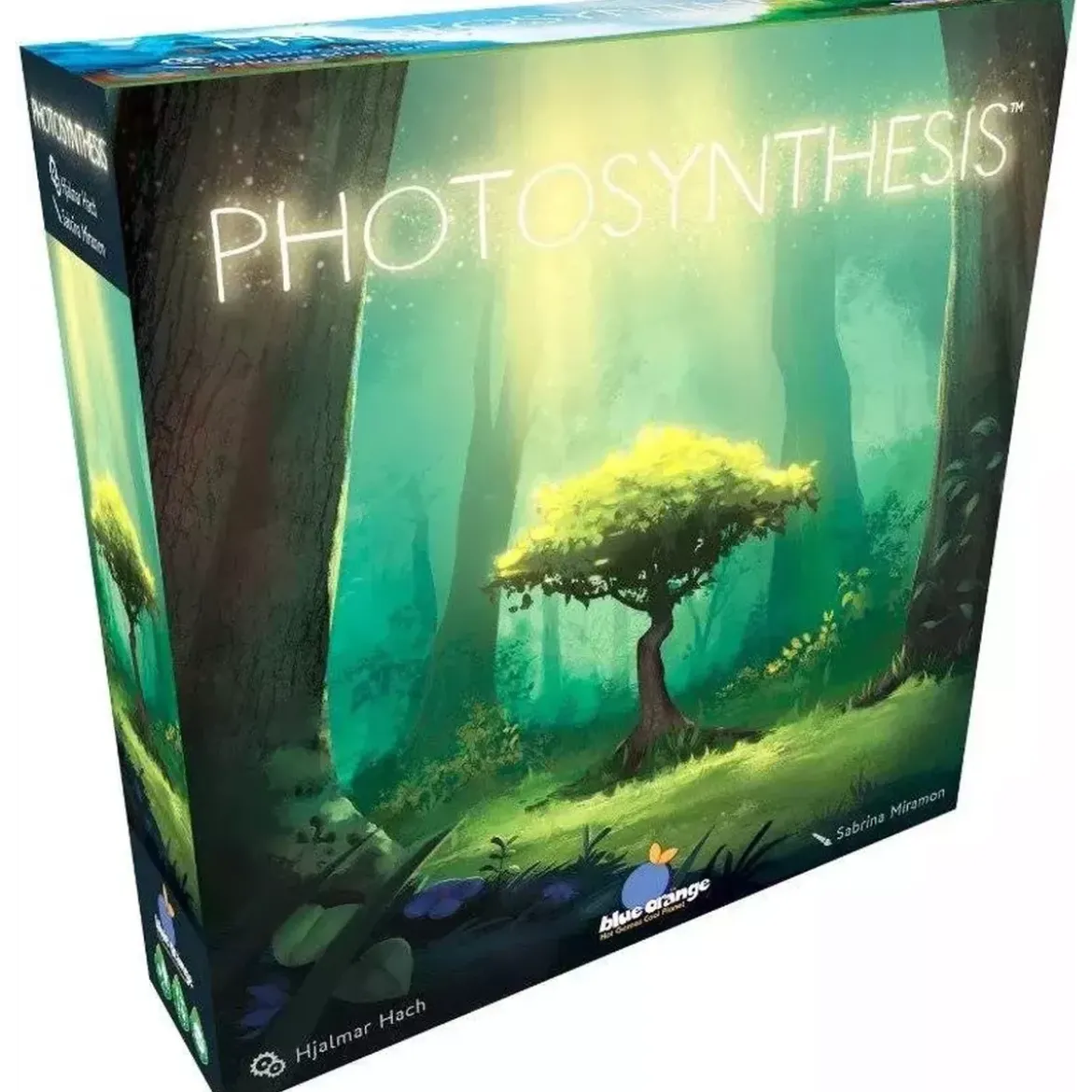 Photosynthesis