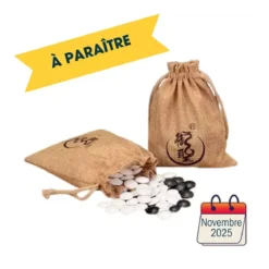 Pierres de Go