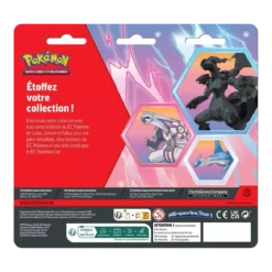 Pokémon : Pack 2 Boosters Octobre 2024 (Blister)