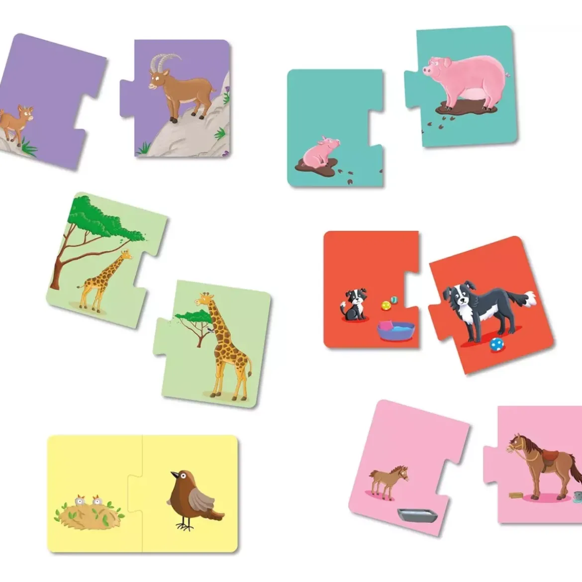 P'tit Loup - Les animaux et leurs Petits