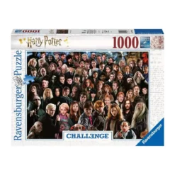 Puzzle Challenge Harry Potter - 1000 pièces