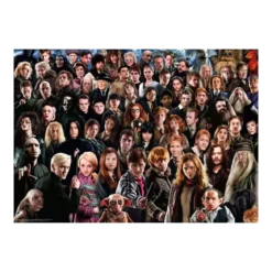 Puzzle Challenge Harry Potter - 1000 pièces