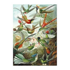 Puzzle Les Colibris - 500 pièces