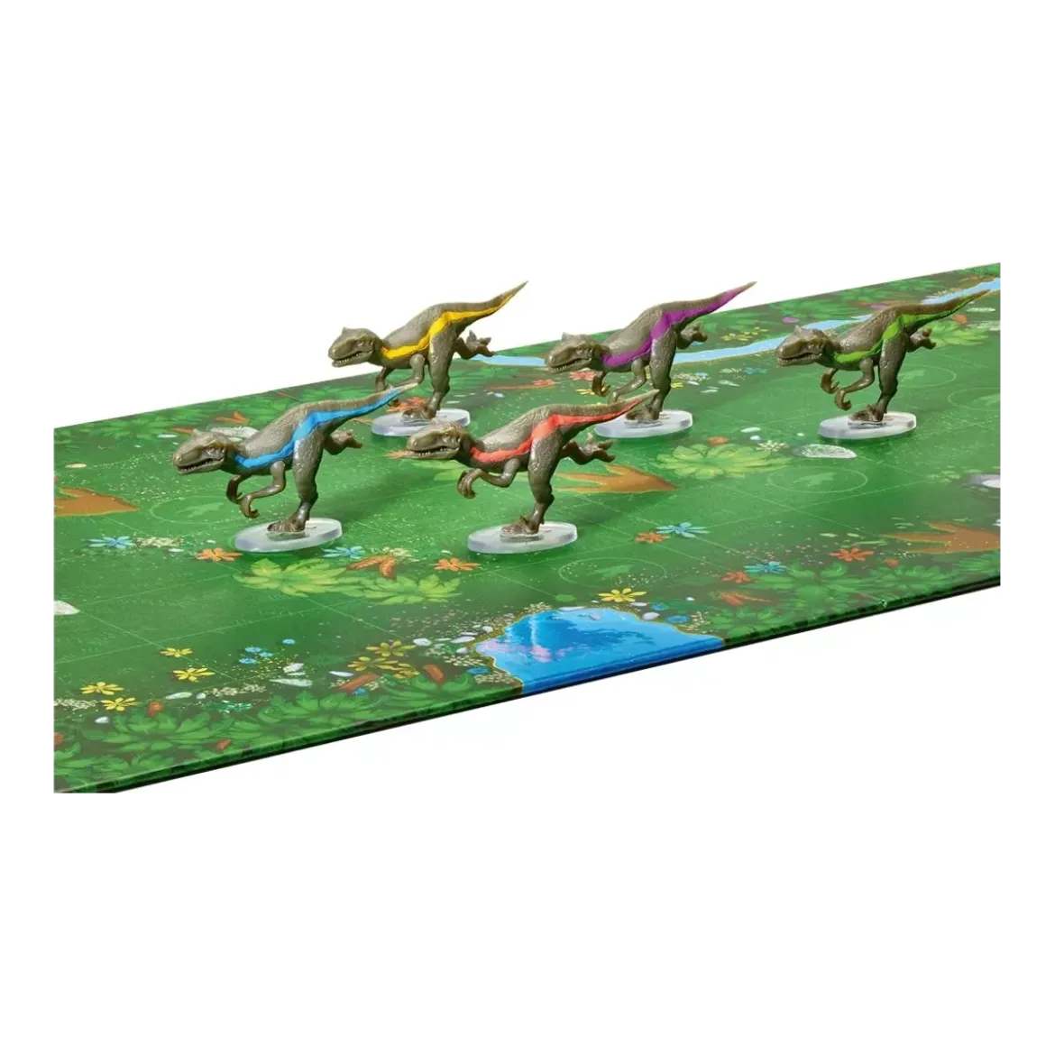 Raptor Race