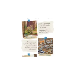 Redwood : Into The Wild - Extension (Exclusivité KS)