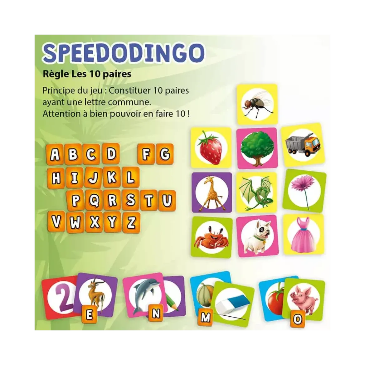 Speedodingo CP-CE2