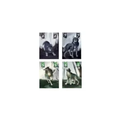 Terres de Loups