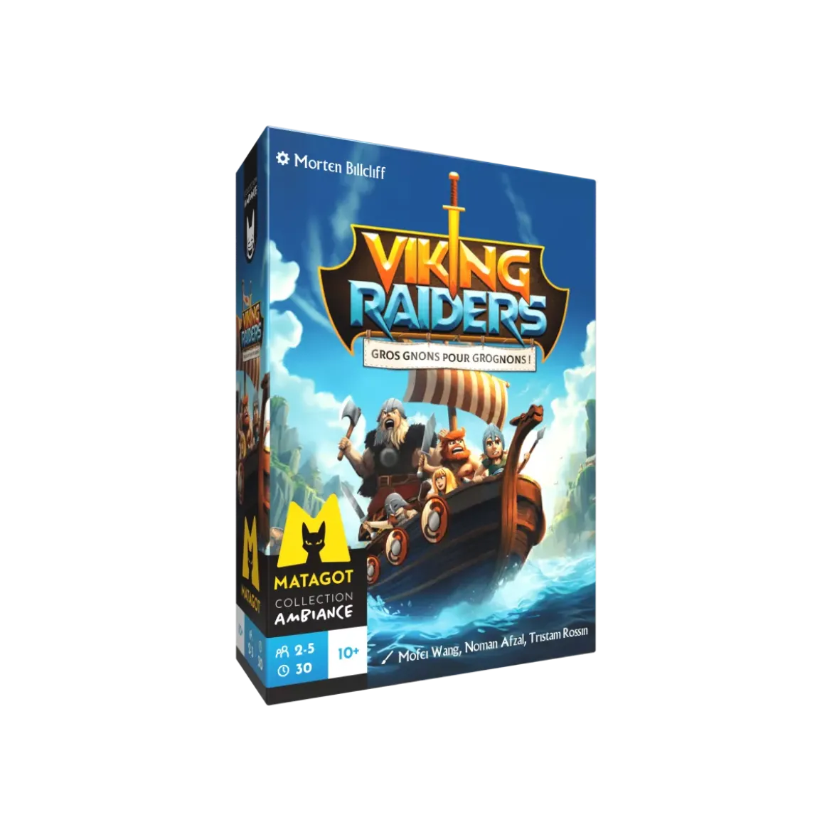 Viking Raiders