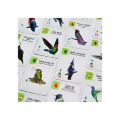 Wingspan : Amériques - Extension