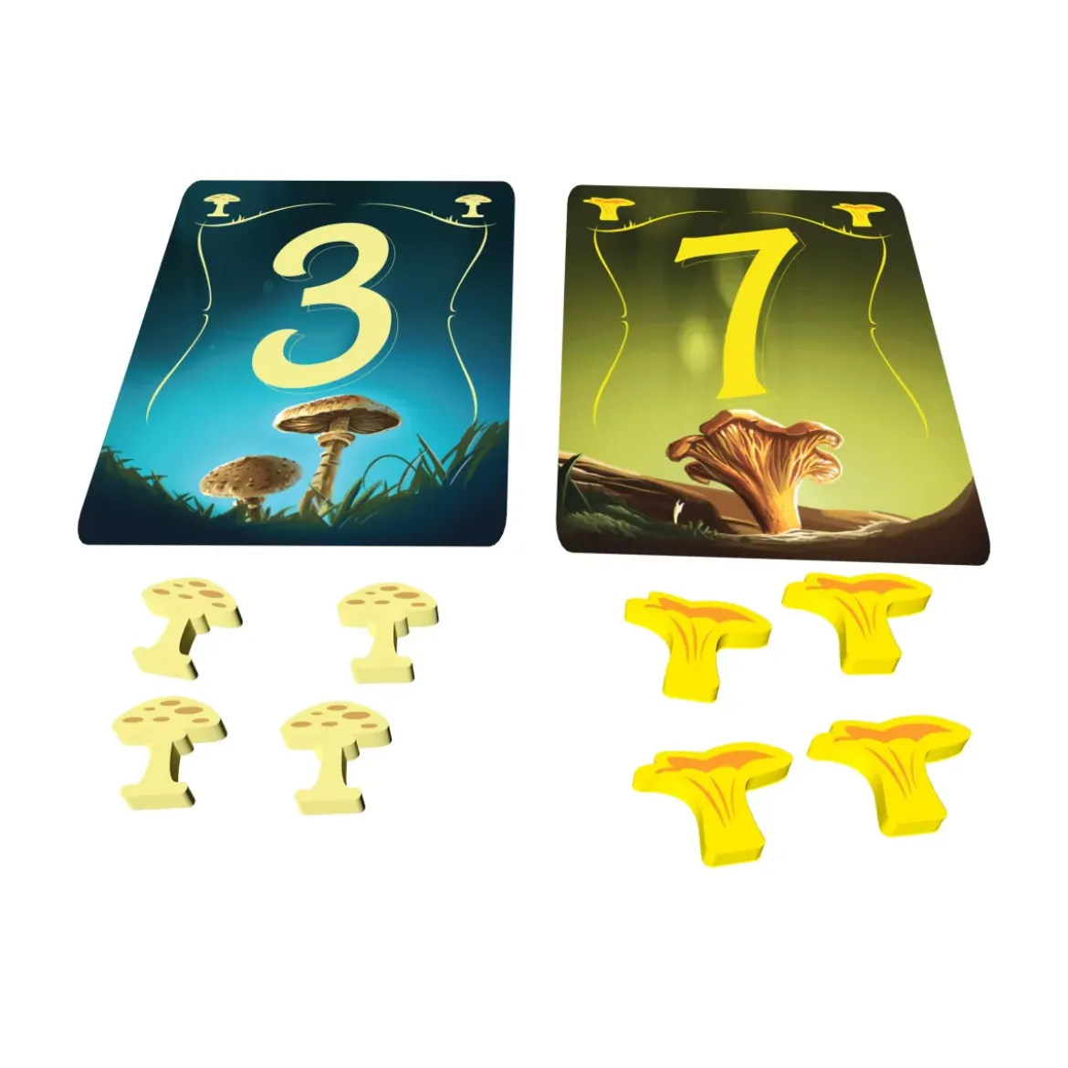 Wonder Woods